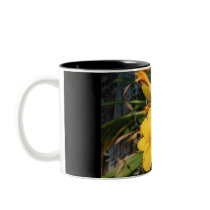 Crab Tree Falls098 Coffee Mug