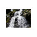 CRAB TREE FALLS posters