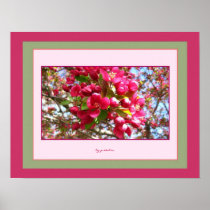 Crabapple Blossoms 2 Photo Poster by gretchen