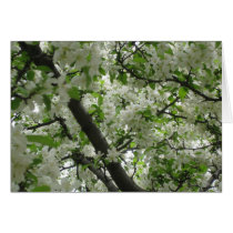 Crabapple blossoms card