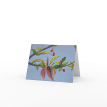 crabapple blossoms greeting cards