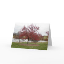 Crabapple Cards