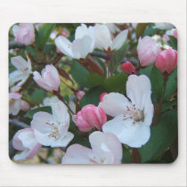 Crabapple flowers ~ mousepad