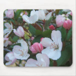 Crabapple flowers ~ mousepad