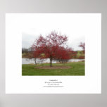 Crabapple Print