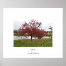 Crabapple Print
