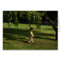 Crabapple Season cards