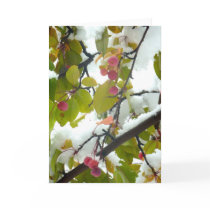 Crabapple:Snow Greeting Cards