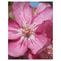 Crabapple Tree's Blooms Full Color Flyer