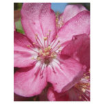 Crabapple Tree's Blooms Full Color Flyer
