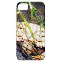 crabbing iPhone 5 cases