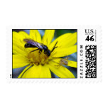 Crabby and the Bee postage