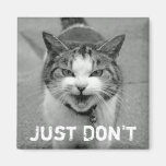 Crabby Cat Magnet