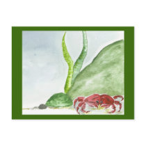 Crabby Corner postcards by cnlbell Crabby Corner postcards