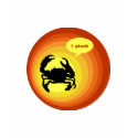 Crabby Crab says "I Pinch". t-shirts