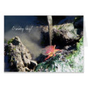 Crabby Day Card by hopefulone Crabby Day Card