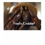 crabby, Feel'n Crabby! T-shirts