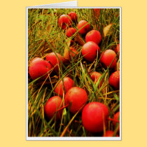Crabby Golden Apple folded card cards