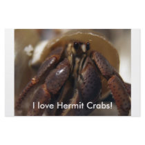 crabby, I love Hermit Crabs! Customized Stationery