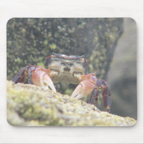 Crabby mousepad