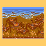Crabs at the beach postcards