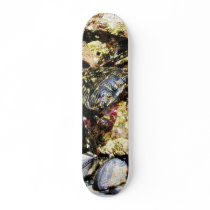 Crabs Barnicles Ocean Tidepools Sea skateboards by lifesphere Crabs Barnicles Ocean Tidepools Sea skateboards