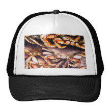 Crabs_ Hat