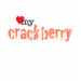 Ladies Baby Doll (Fitted)