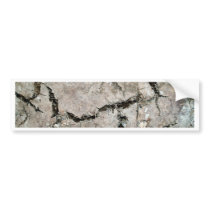 crack earth bumper stickers by naturelife crack earth bumper stickers