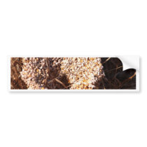 crack earth bumper stickers by naturelife crack earth bumper stickers
