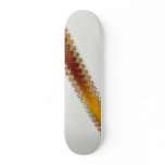 Crack - Fractal Skateboard