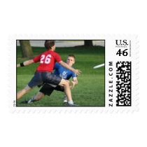 Crack Stamp