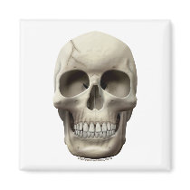 Cracked Skull magnets