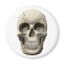 Cracked Skull Refrigerator Magnets