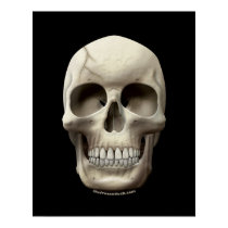 Cracked Skull posters by thefrozenduck Cracked Skull posters