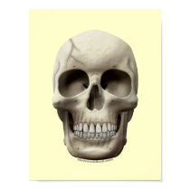 Cracked Skull posters by thefrozenduck Cracked Skull posters