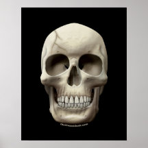 Cracked Skull Posters