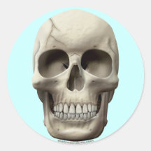 Cracked Skull Round Stickers