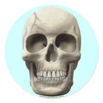 Cracked Skull stickers by thefrozenduck Cracked Skull stickers