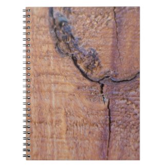 Cracked Wood Notebook notebook