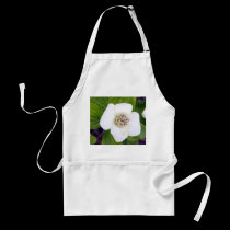 Crackerberries 1 Apron aprons