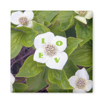 Crackerberries 3 Magnet by CreatureCreations Crackerberries 3 Magnet