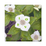 Crackerberries 3 Magnet