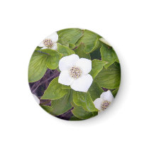 Crackerberries 3 Magnet