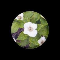 Crackerberries 3 Magnet magnets