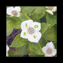 Crackerberries 3 Magnet magnets