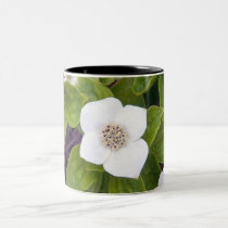 Crackerberries 3 Mug mugs