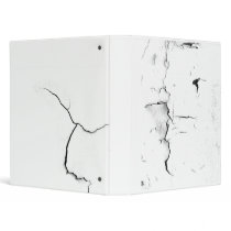 cracks on binder
