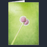 Cradle of Life cards