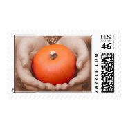 Cradled Pumpkin stamp